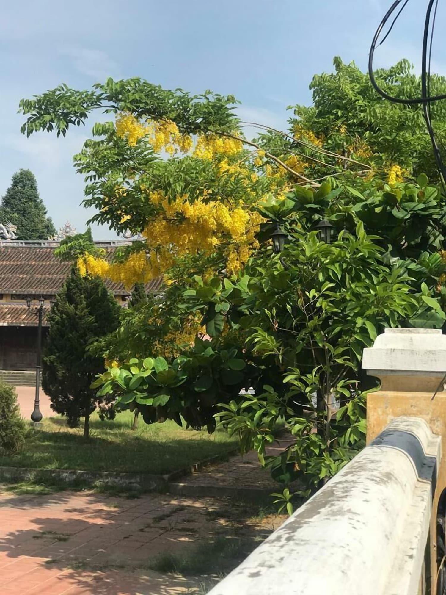 Champa Hoi An Villas Eksteriør billede